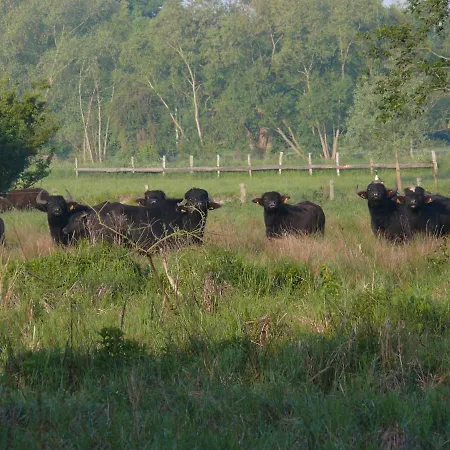 Landgasthof Vogt * バート・ザッセンドルフ