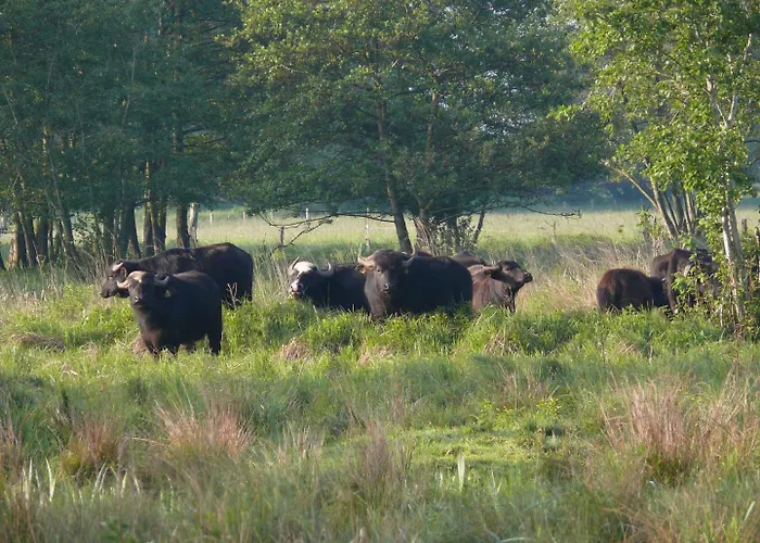 Landgasthof Vogt * Bad Sassendorf