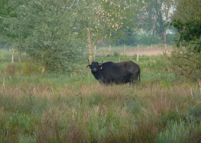Landgasthof Vogt Szálloda *