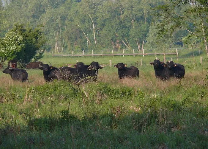 Landgasthof Vogt * Bad Sassendorf
